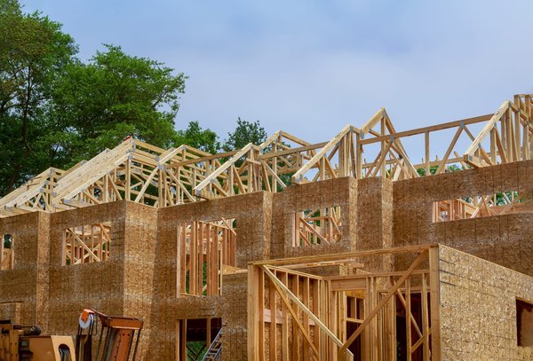 Sauver sa charpente des nuisibles : pourquoi faire appel à un professionnel ?